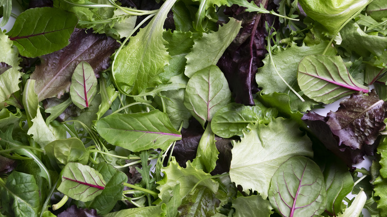 mixed lettuces