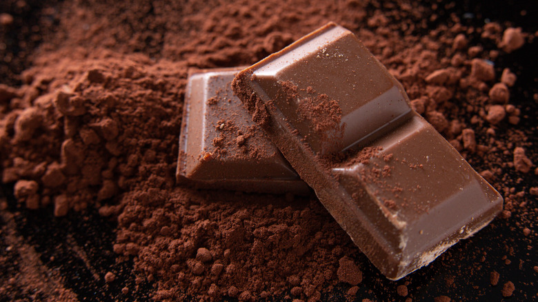 Dark chocolate bar pieces