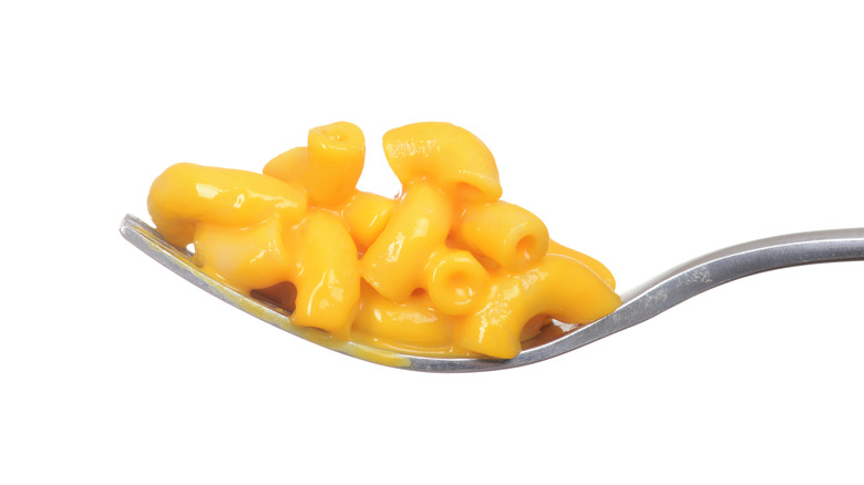 macaroni and cheese on fork