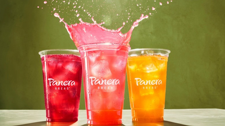 Three Panera drinks