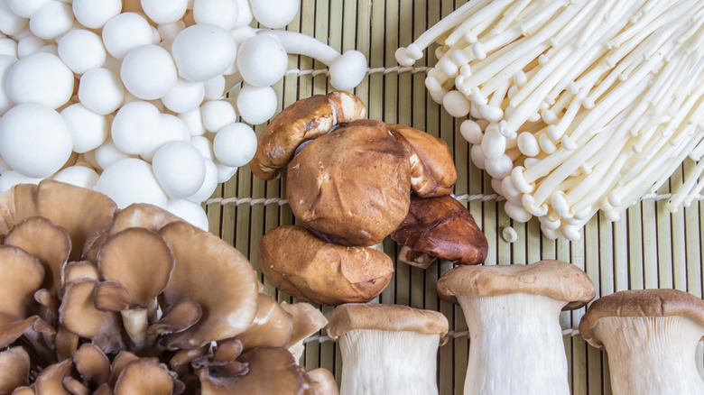 Variety of mushrooms