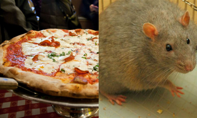 In honor of the first pioneering pizza rat who bravely dragged a slice down the dirty Subway steps.