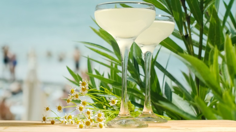 Two gimlet cocktails next to flowers
