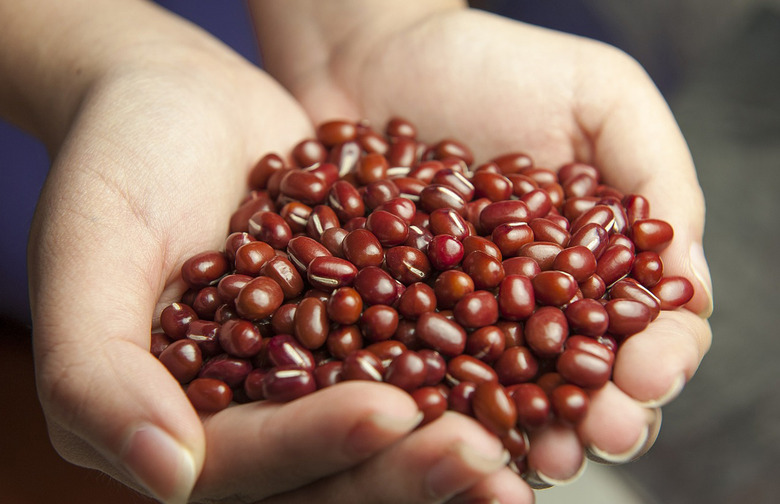 The Pulse on Pulses Why You Should Be Eating Beans and Lentils