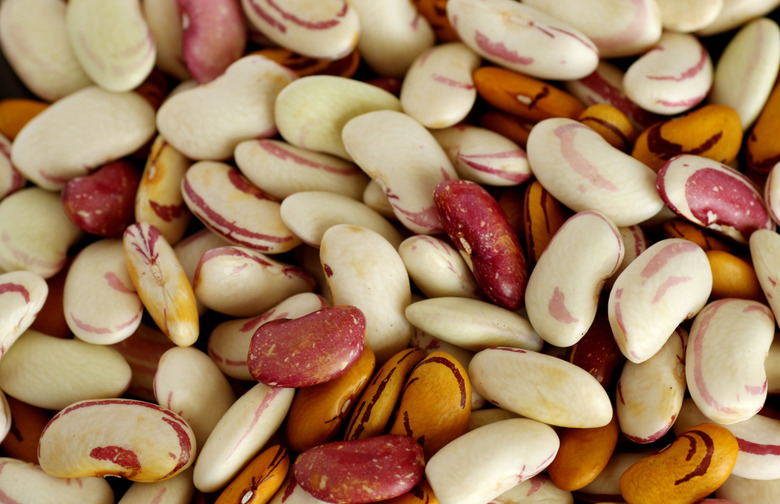 The Pulse on Pulses Why You Should Be Eating Beans and Lentils