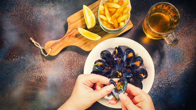 Mussels dish with beer and fries