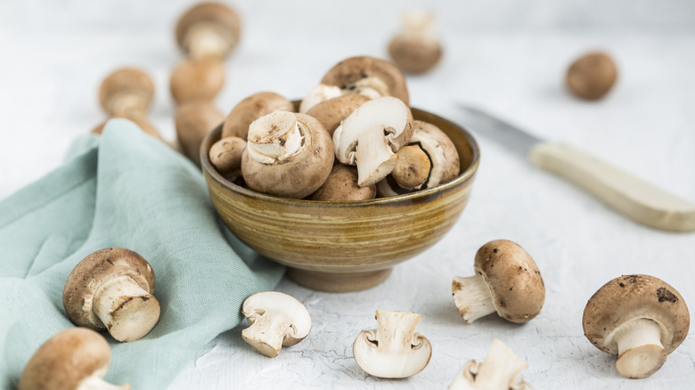 Container of mushrooms past its prime