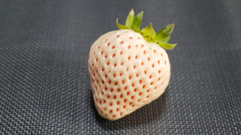 white strawberry on placemat