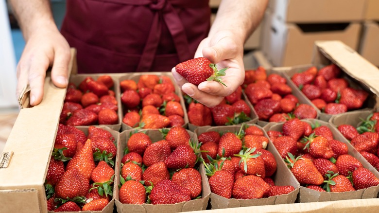 strawberries in baskets at market