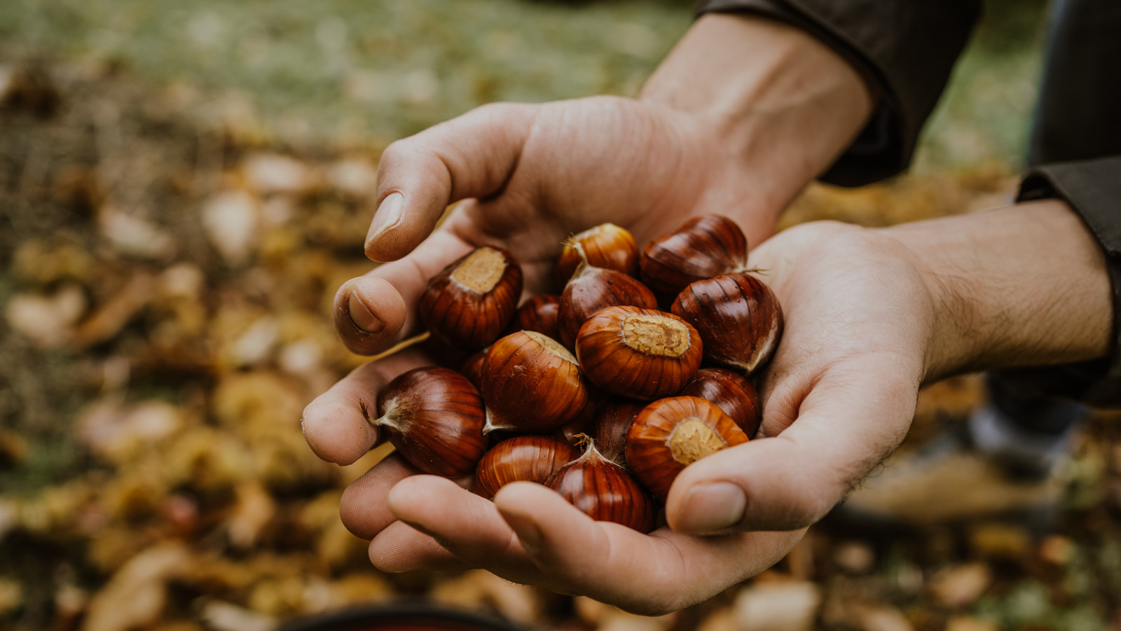 The Reason We Don't Roast Chestnuts As Much During The Holidays