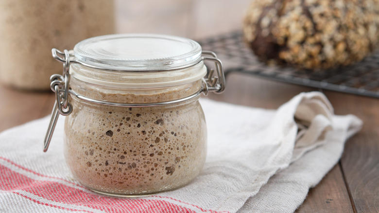 sealed jar of sourdough starter