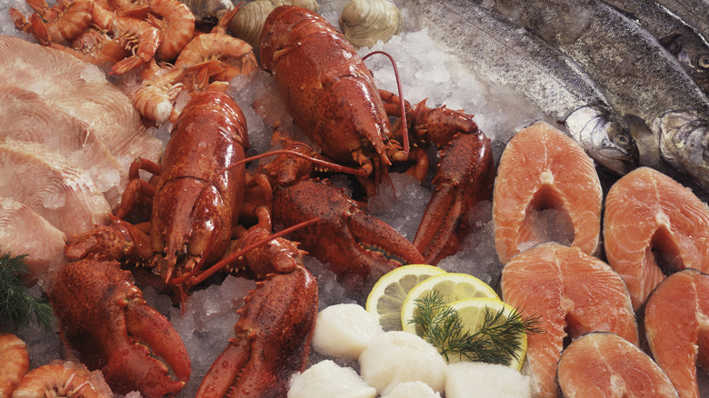 upclose seafood on ice including lobster, scallops, shrimp, tuna