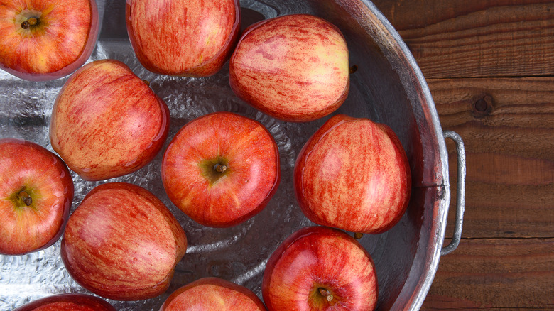 Apples floating in bucket of water