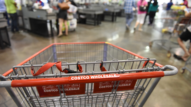Costco Shopping Cart