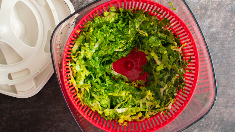 Salad spinner with chopped romaine
