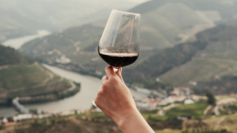 port wine in the Douro Valley
