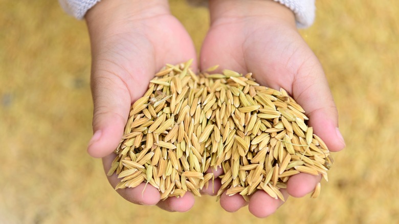 handful of whole-grain brown rice