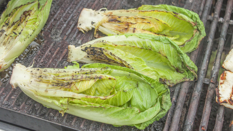 Grilled romaine lettuce