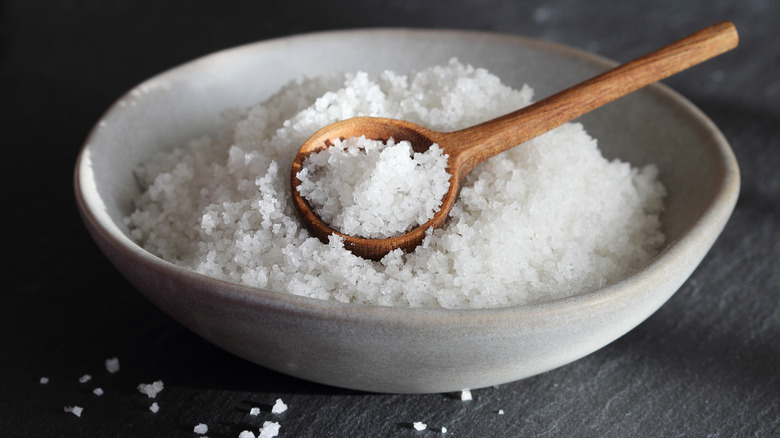 bowl of sea salt with wooden spoon