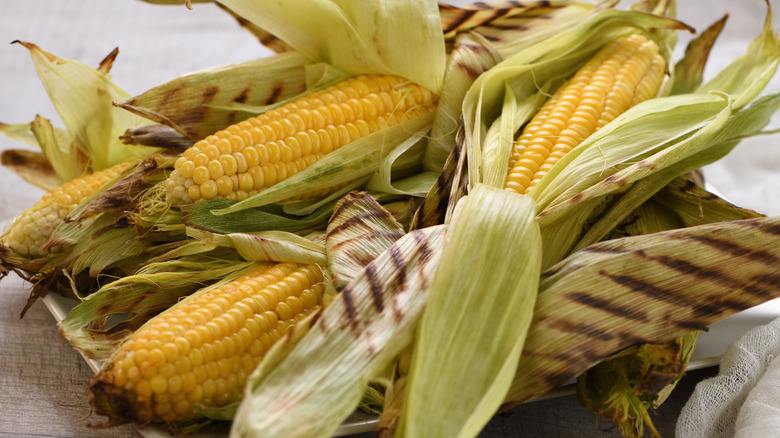 Grilled corn cobs with husks still on