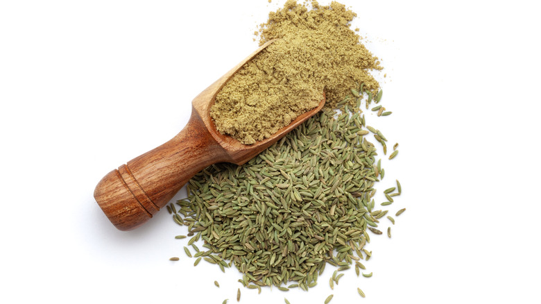 Fennel seeds and crushed fennel seeds in a scooper on a white background