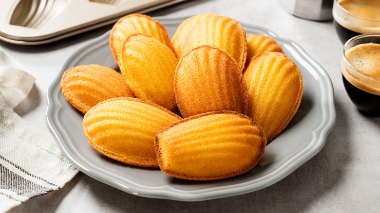 A plate of madeleines