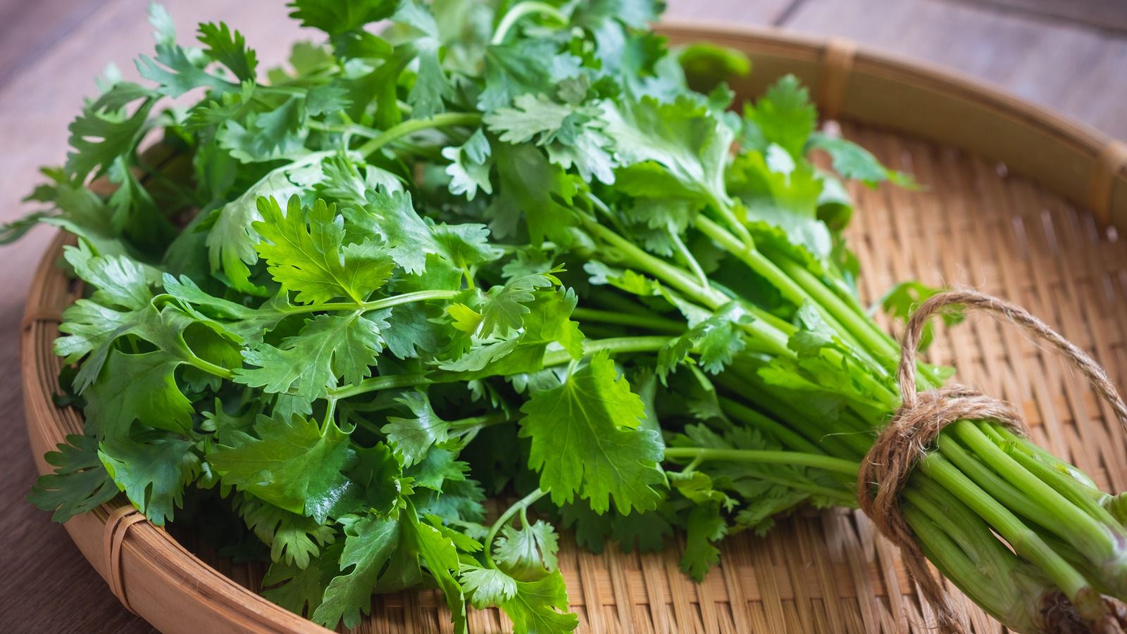 The Smell And Color Signs To Look For When Buying Fresh Cilantro