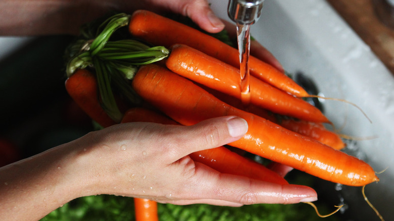 washing carrot bunch