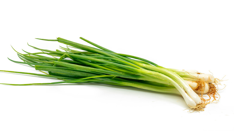 bundle of scallions