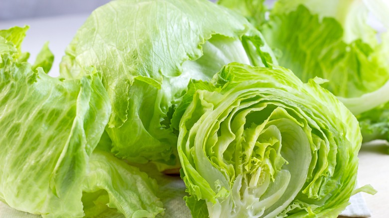 Heads of lettuce