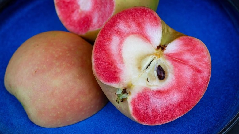 Cut Lucy Glo apple on a blue plate