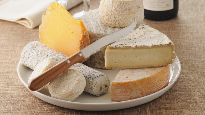 Assorted cheeses on a plate