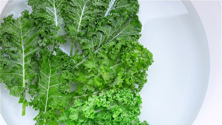 Kale leaves soaking in water 