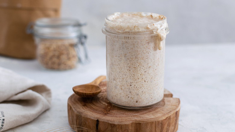 Overflowing sourdough starter 