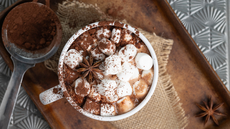 Cup of hot chocolate with marshmallows, star anise, and cocoa powder