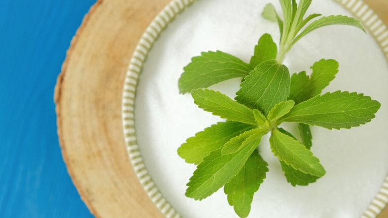 stevia powder and plant