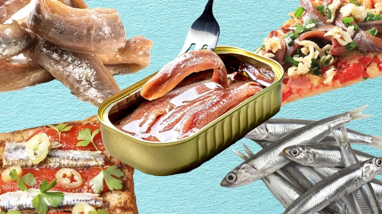 Anchovies forked from tin