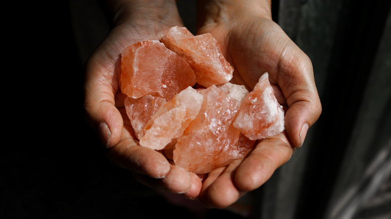 hands holding salt blocks