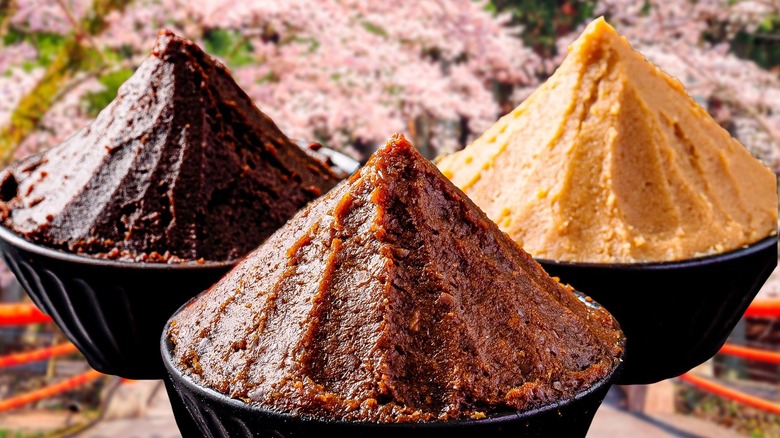 different miso types in bowls