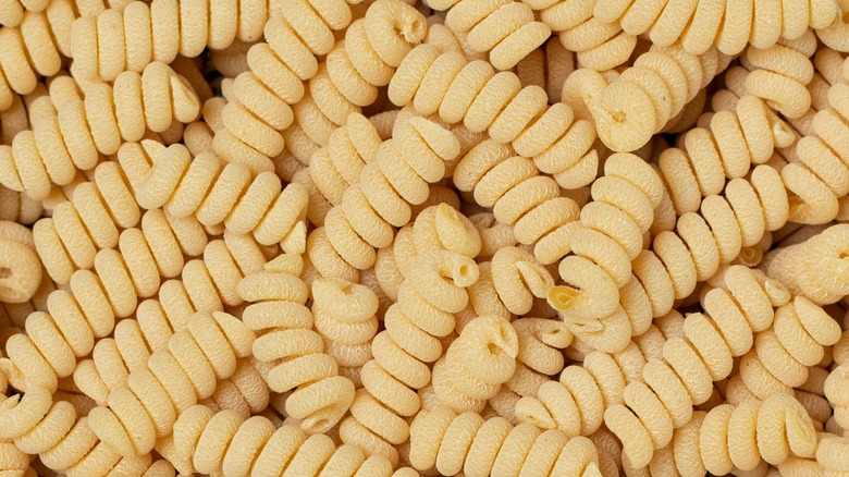 fusilli pasta noodles
