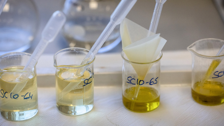 Samples of olive oil