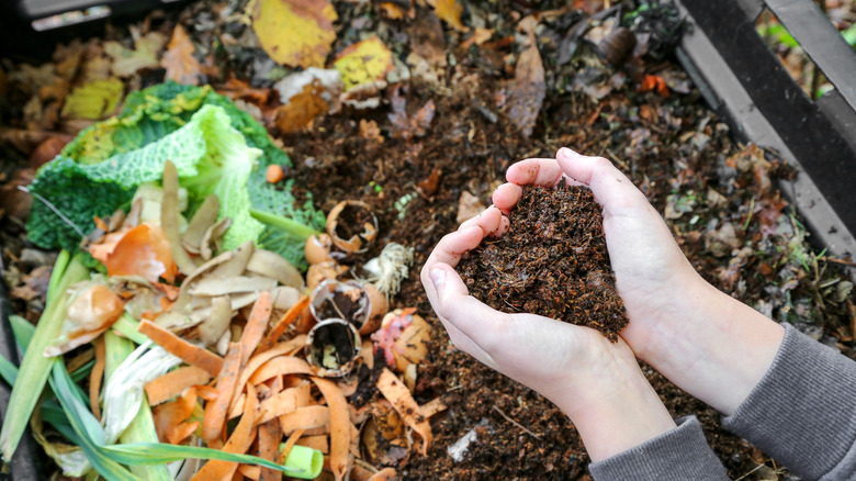 hands holding compost