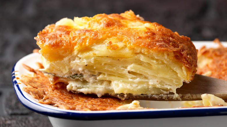 serving of scalloped potatoes