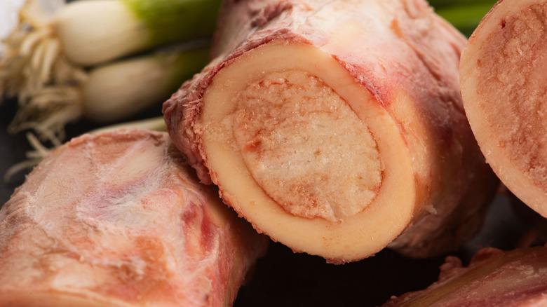 Raw uncooked beef bone marrow