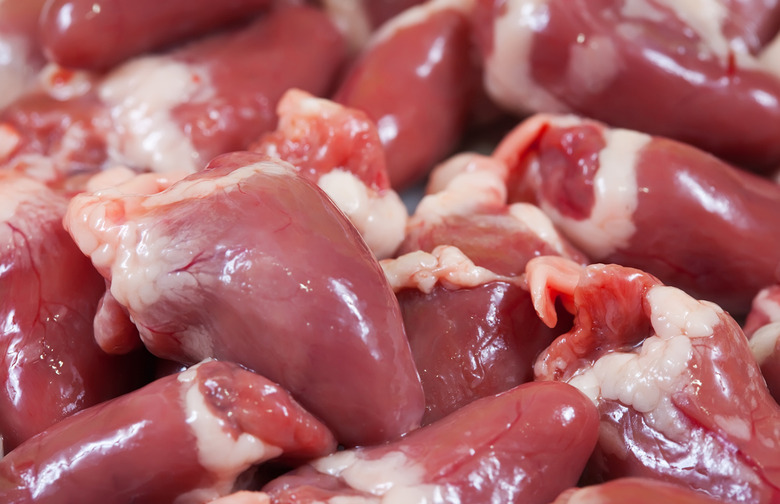 Collagen and Elastin