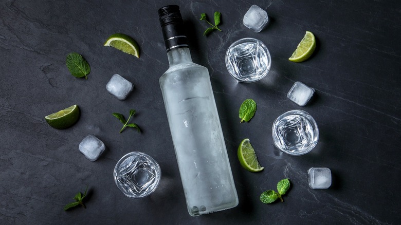 Vodka and shot glasses