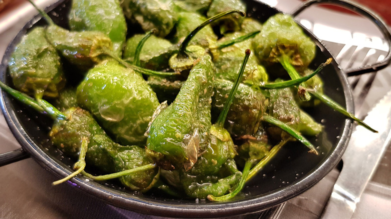 Pimientos de Padrón in bowl