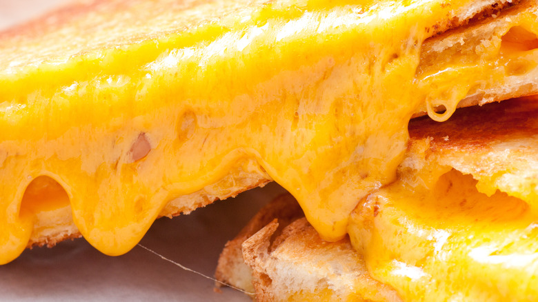 Close up of grilled cheese