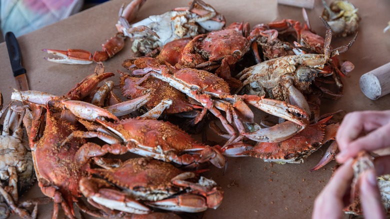 blue crabs covered in Old Bay