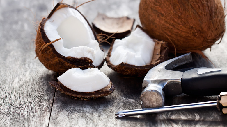 cracked fresh coconut with screwdriver and hammer